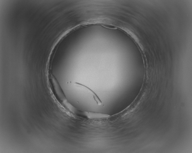 X0000073420949200608181117