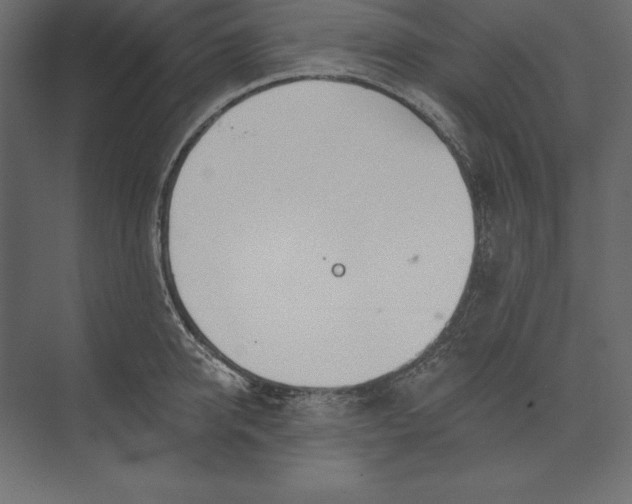 X0000073420950200608181117