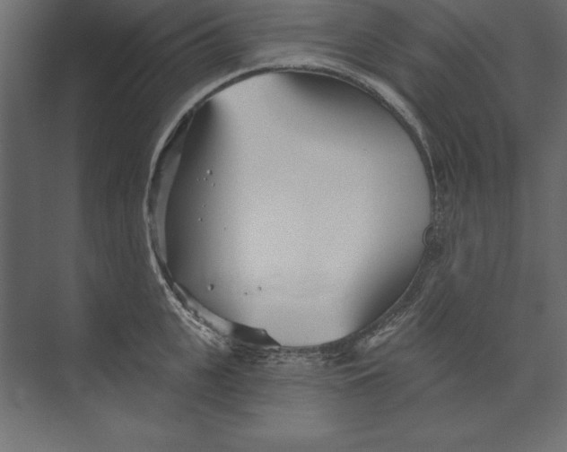 X0000073420951200608181117