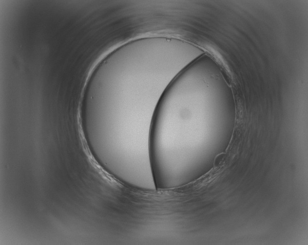 X0000073420952200608181117