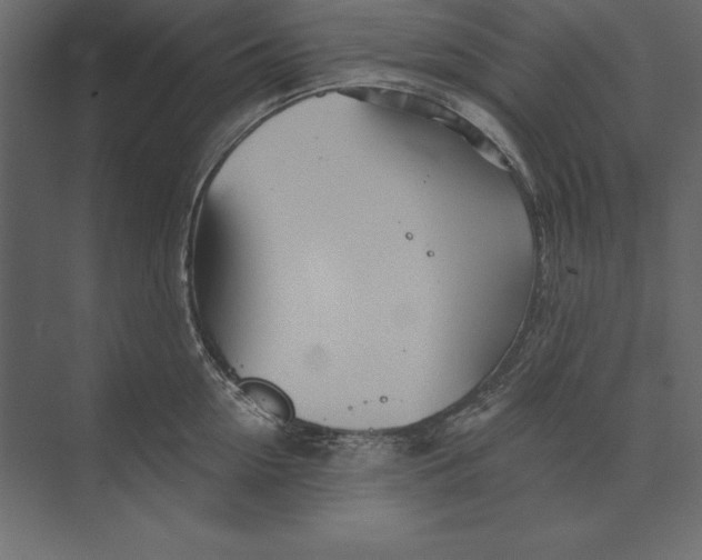 X0000073420954200608181118