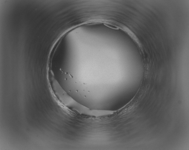 X0000073420955200608181118