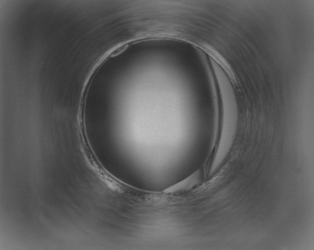 X0000073420956200608181118