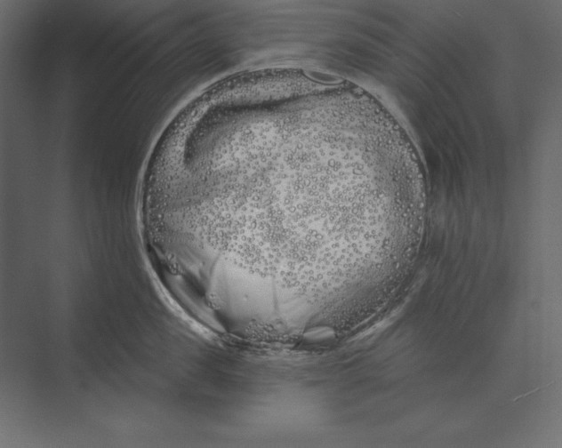 X0000073420957200608181118