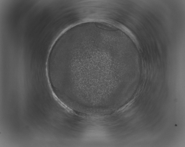 X0000073420958200608181118