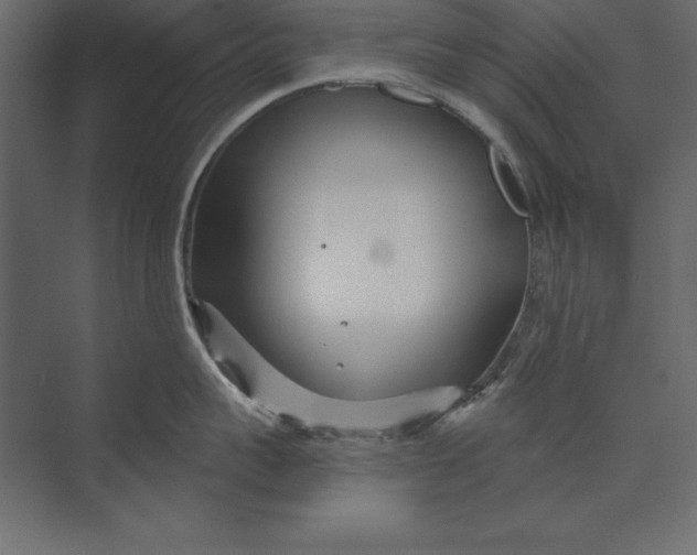 X0000073420959200608181118