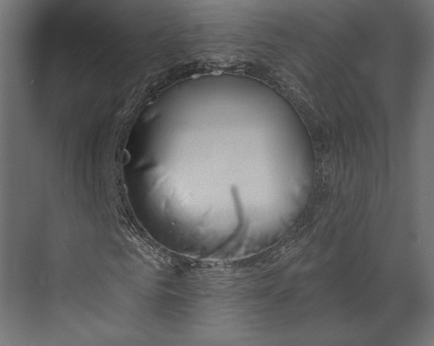 X0000073420961200608181117