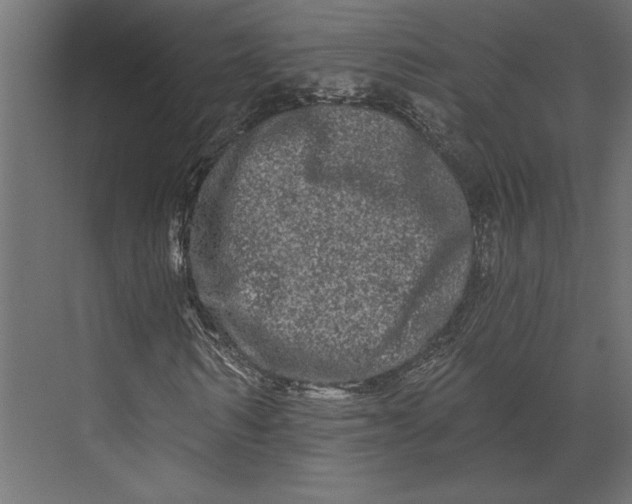 X0000073420962200608181117