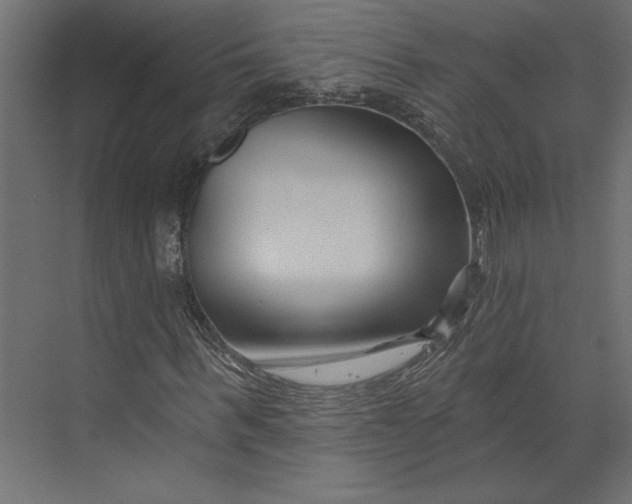 X0000073420963200608181117