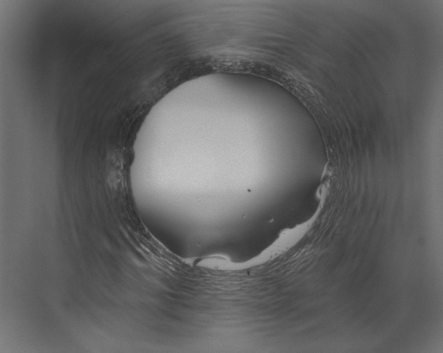 X0000073420964200608181117