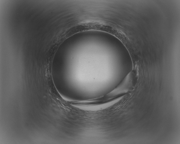 X0000073420965200608181117