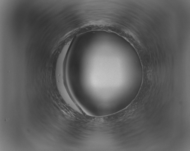 X0000073420968200608181117