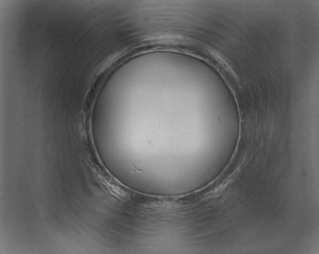 X0000073420970200608181117