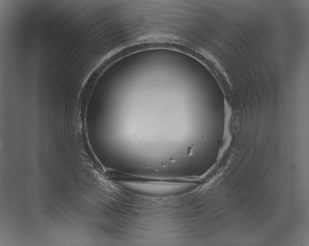 X0000073420973200608181117