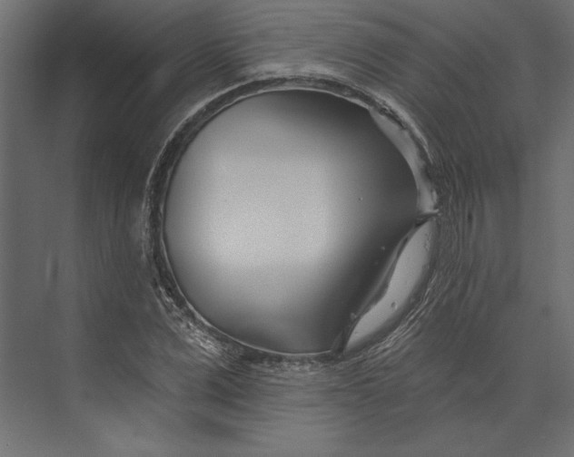 X0000073420975200608181117