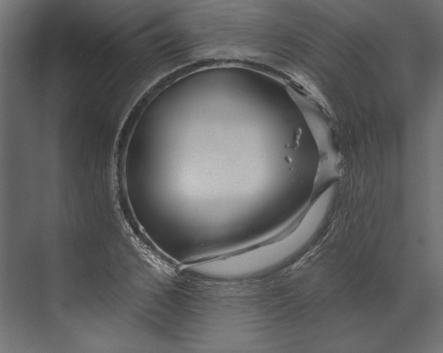 X0000073420976200608181117