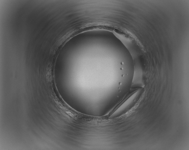 X0000073420977200608181117