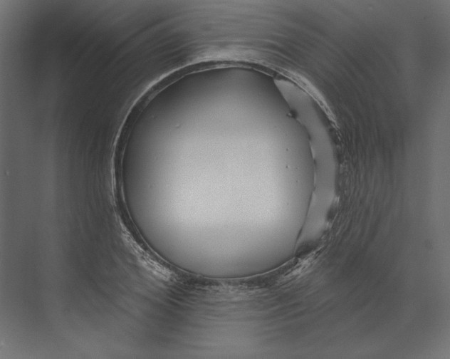 X0000073420980200608181117