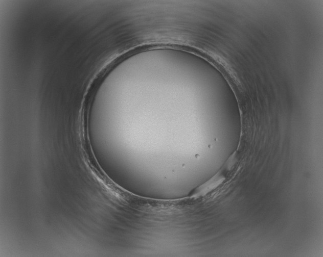 X0000073420982200608181116