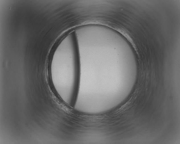 X0000073420984200608181116