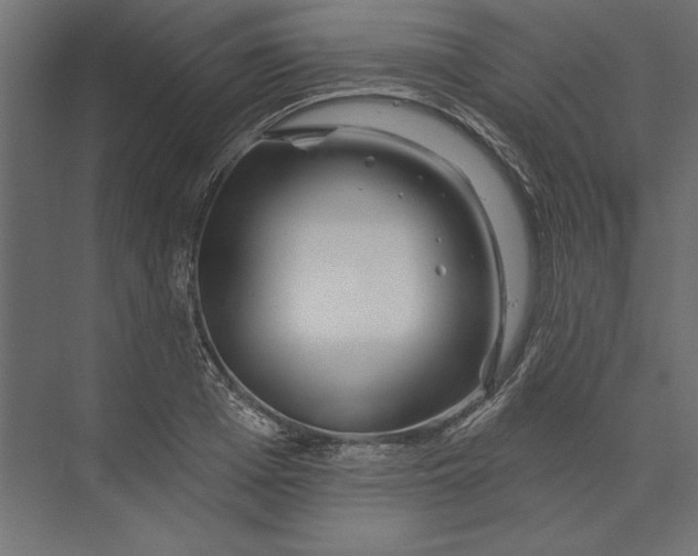 X0000073420985200608181116