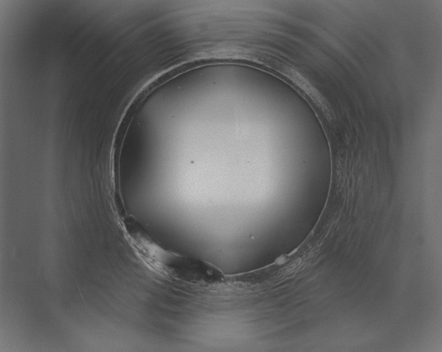 X0000073420988200608181116