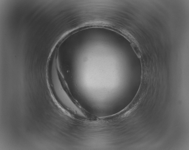 X0000073420989200608181116