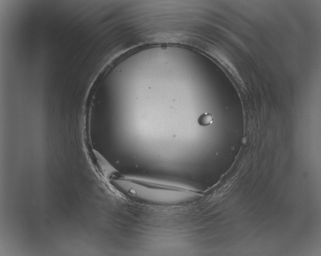 X0000073420992200608181116