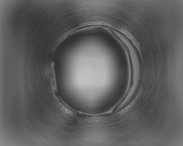 X0000073420993200608181116