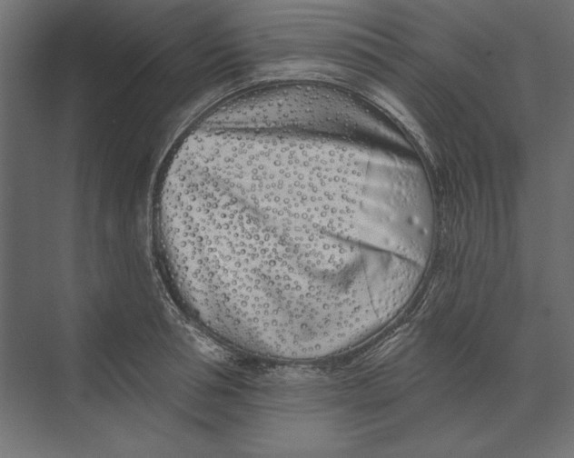 X0000073420994200608181116