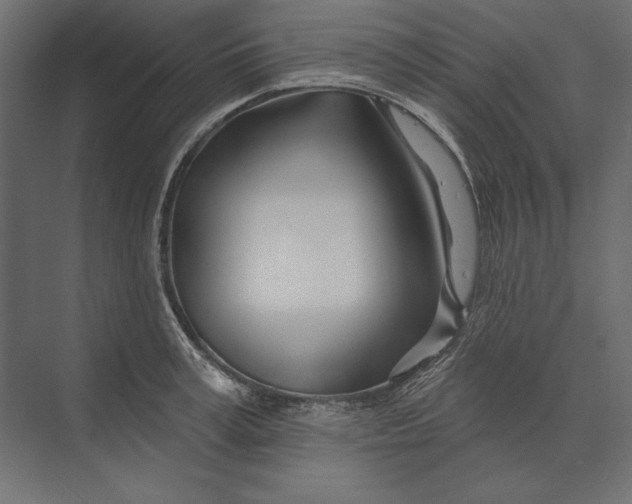 X0000073420995200608181116