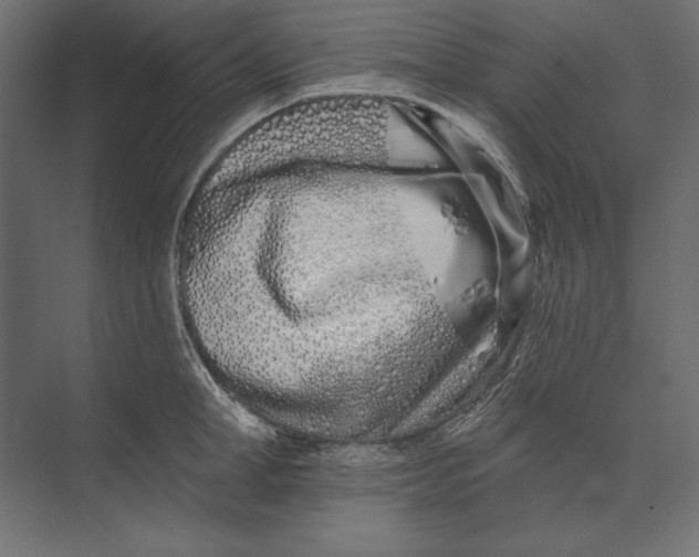 X0000073420998200608181116