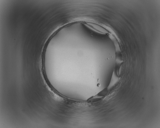 X0000073420999200608181116