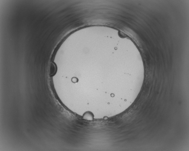 X0000073421000200608181116