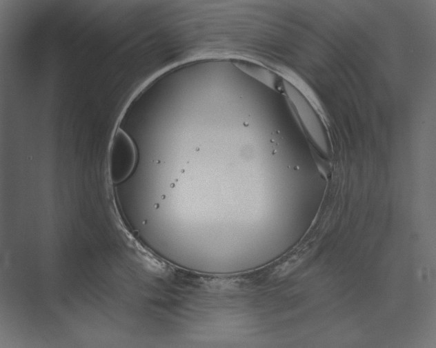 X0000073421004200608181116