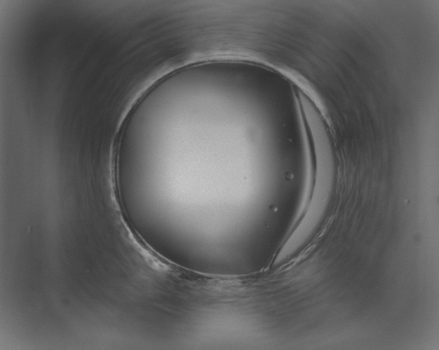 X0000073421006200608181116