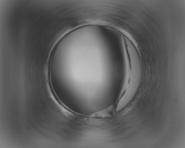 X0000073421007200608181116