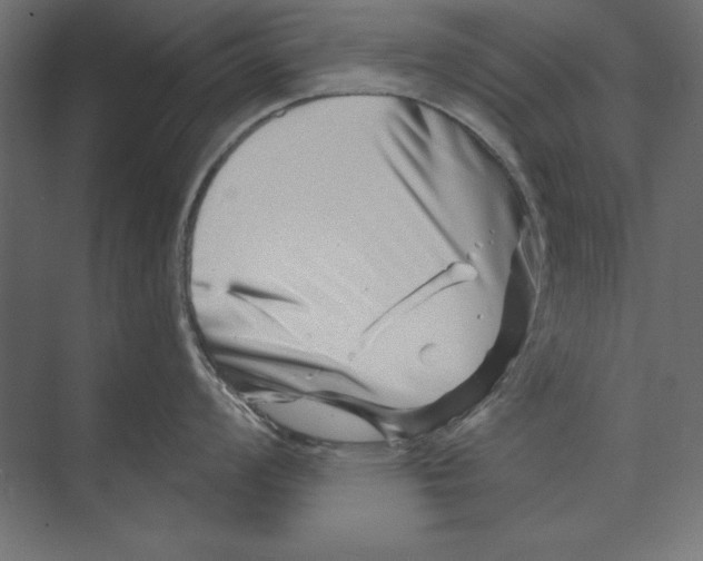 X0000073421008200608181116