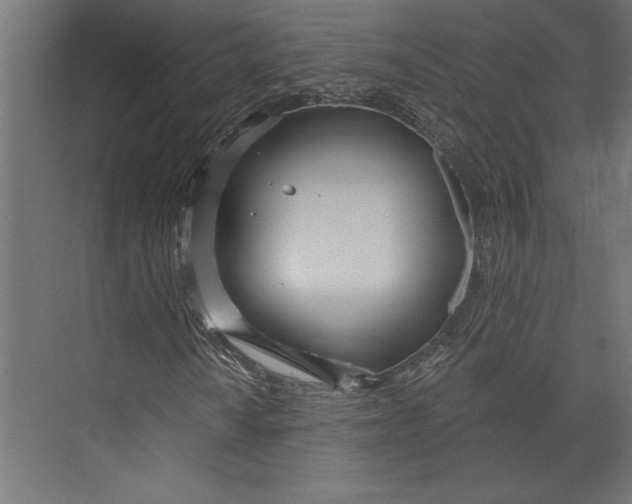 X0000073421010200608181115