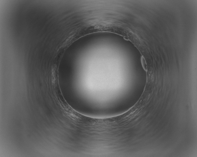 X0000073421012200608181115