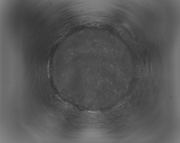 X0000073421013200608181115