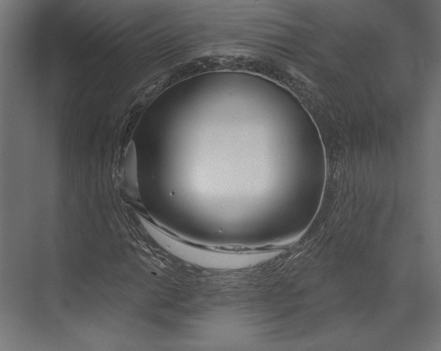 X0000073421014200608181115