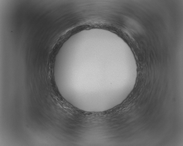 X0000073421016200608181115