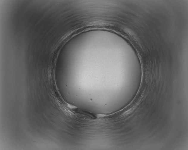 X0000073421017200608181115