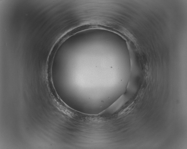 X0000073421020200608181115