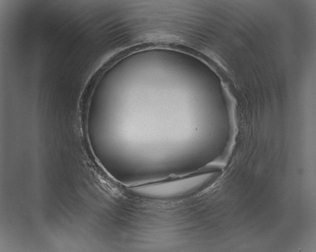 X0000073421022200608181115