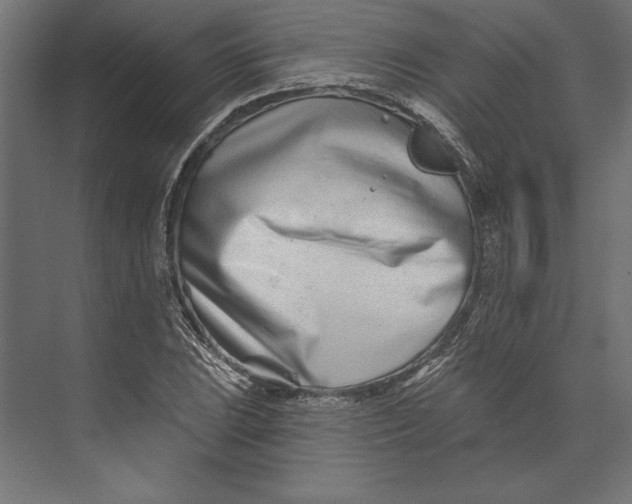 X0000073421023200608181115