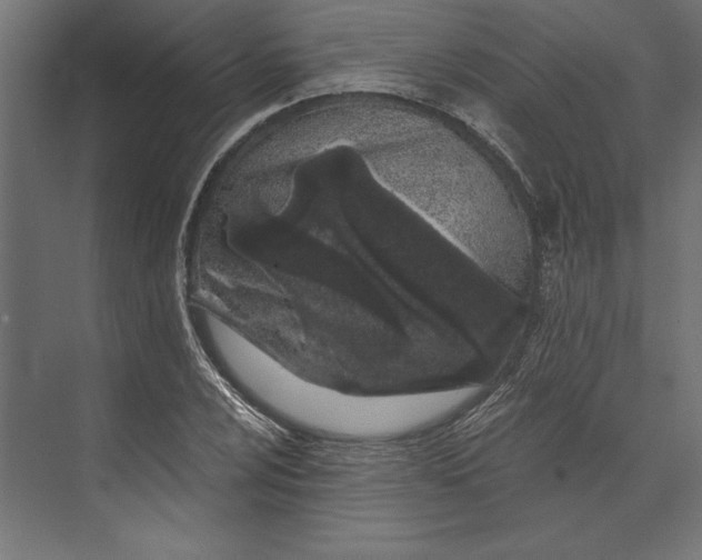 X0000073421024200608181115