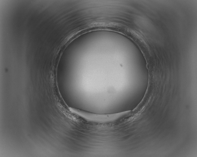 X0000073421025200608181115