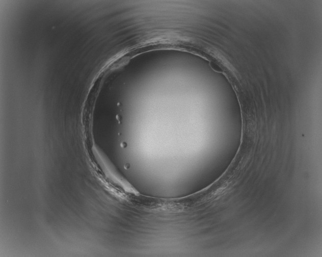 X0000073421026200608181116